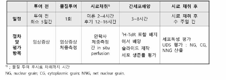 포유류 간세포를 이용한 생체 내 비정기적 DNA 합성시험의 절차 및 주요 평가 항목