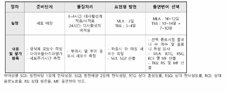 포유동물 세포의 Thymidine kinase 유전자를 이용한 생체외 유전자 돌연변이시험의 절차 및 주요 평가 항목