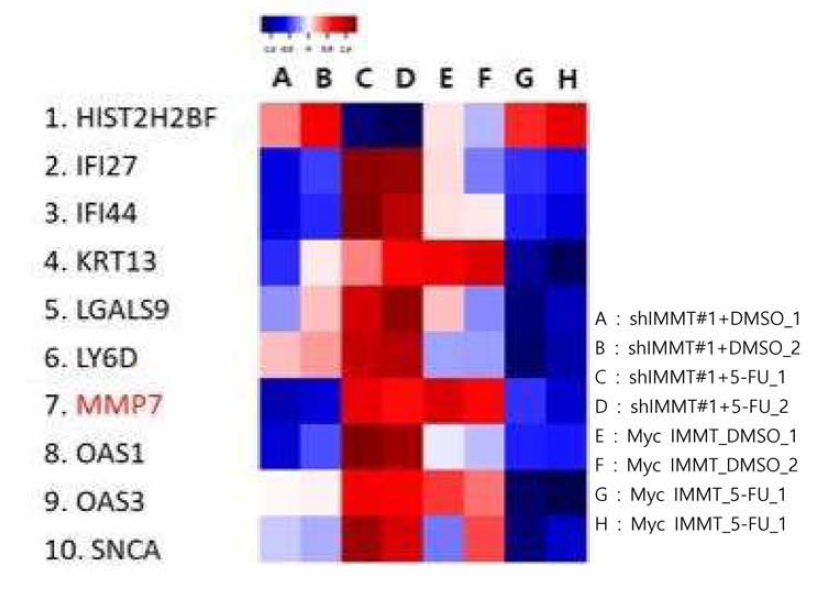5-FU 처리에 따라 반대로 조절되는 IMMT 하위유전자