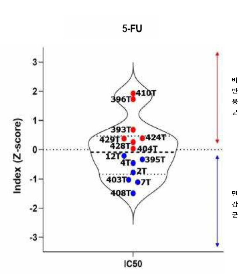 각 오가노이드의 5-FU 처리에 따른 IC5O 확인