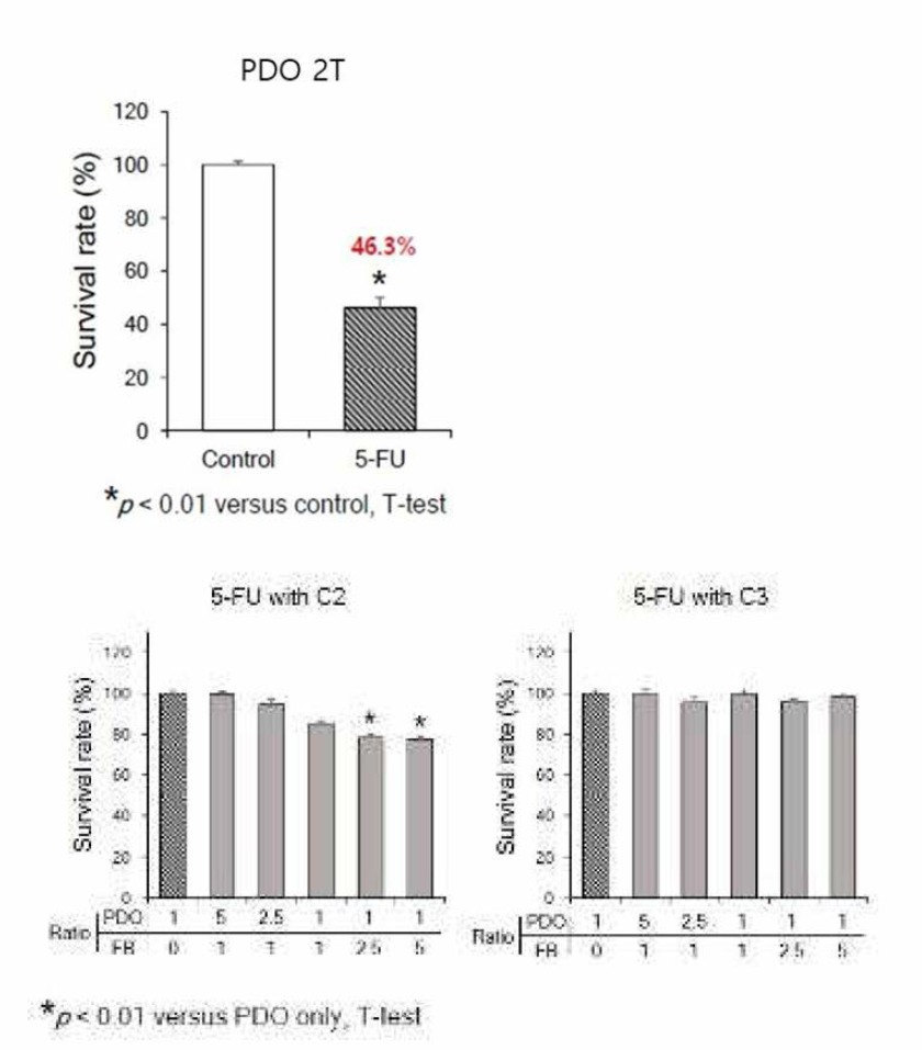 2T 오가노이드의 공배양시 5-FU 약물에 따른 세포 생존율 결과 (연속)