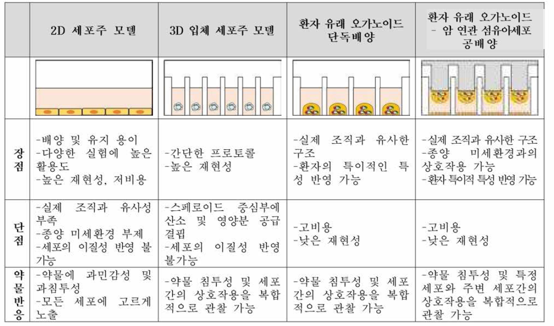 5-FU 내성 기전 확인을 위해 구축한 4가지 세포 배양 방법