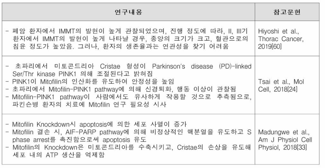 IMMT (Mitofilin) 의 연구동향