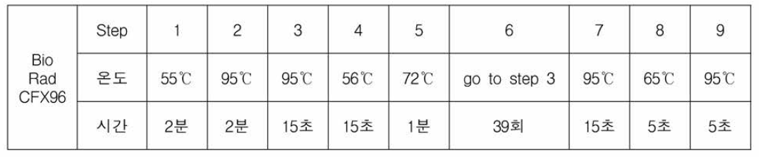 Real-time PCR 온도 및 시간 설정