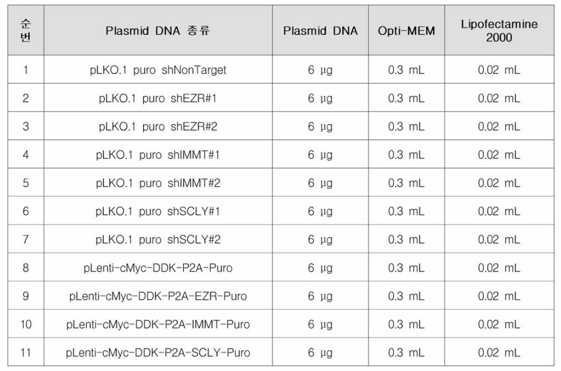 유전자 변형을 위한 Plasmid DNA 정보