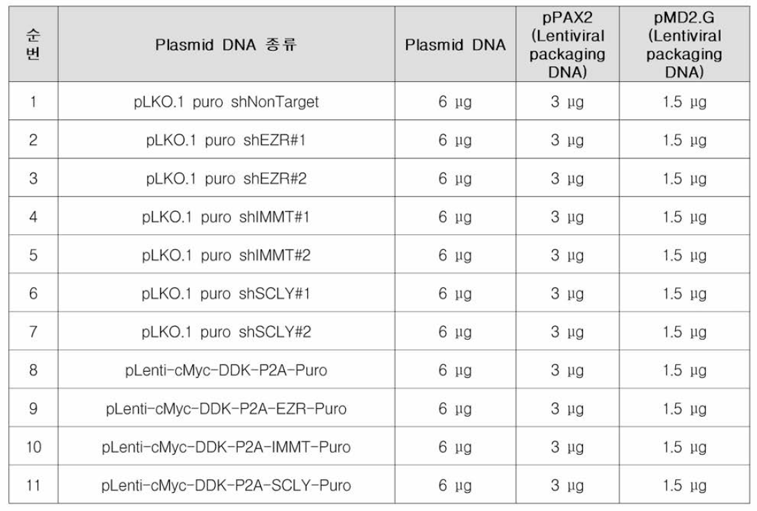 Lentivirus 벡터를 이용한 HEK293T transfection 조건