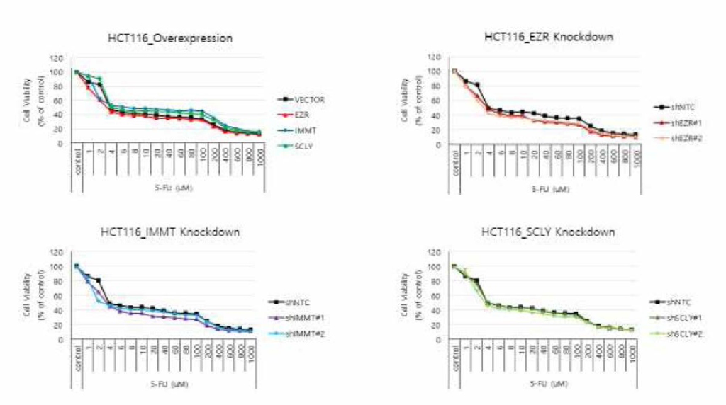 유전자 변형 HCT116 세포에서 5-FU 약물 반응 확인 실험은 n = 3 로 수행되었으며 결과는 평균값을 나타낸다