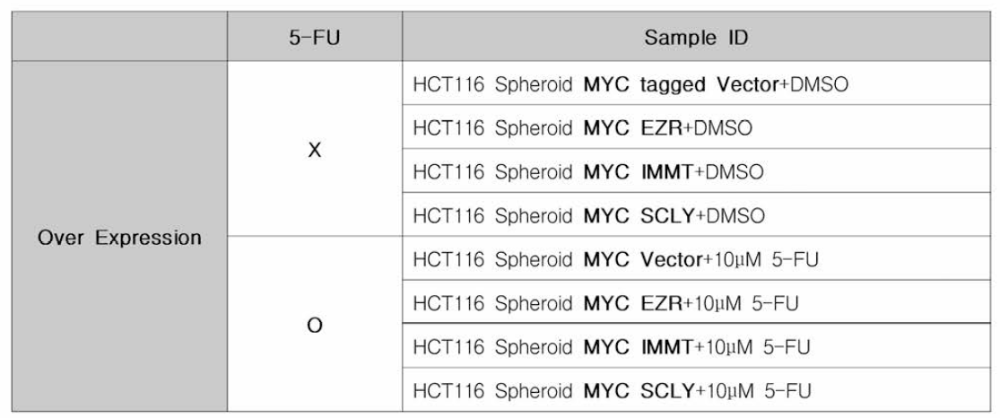 5-FU처리에 의한 유전자 과발현 변형 세포주 스페로이드 표본 정보
