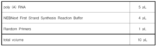 First Strand cDNA의 합성에 필요한 시료(1)