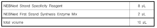 First Strand cDNA의 합성에 필요한 시 료 (2)