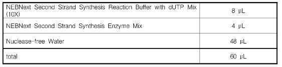 First Strand cDNA의 합성에 필요한 시료