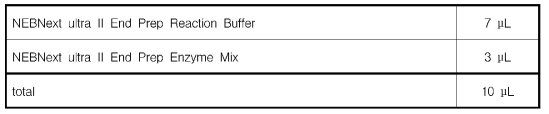 cDNA Library를 위해 mixture의 제조