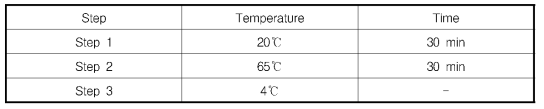 cDNA Library를 위한 PCR 조건