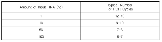 RNA Library 합성을 위한 PCR 조건 (1)