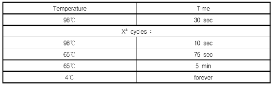 RNA Library 합성을 위한 PCR 조건 (2)