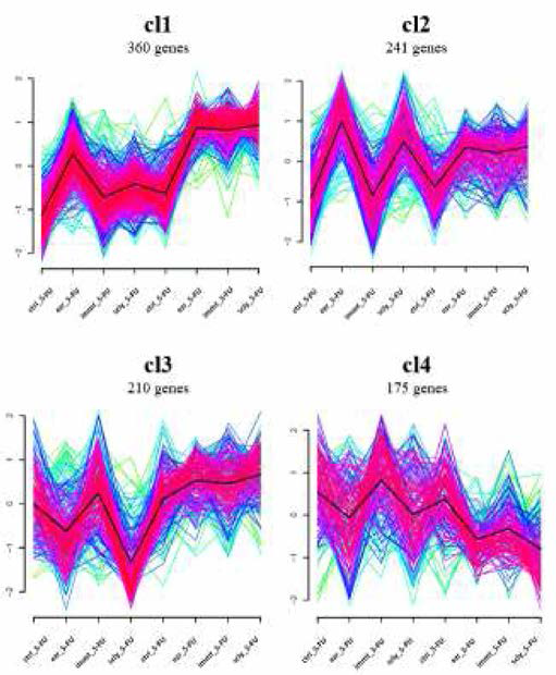 발현 경향성에 따른 clustering 결과