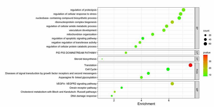 Cluster 1 Gene Set Enrichment 분석