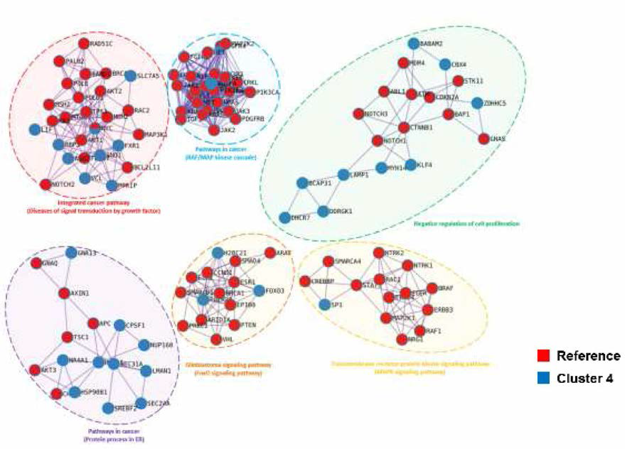 Cluster 4와 114개 암연관 유전자와의 PPI 분석