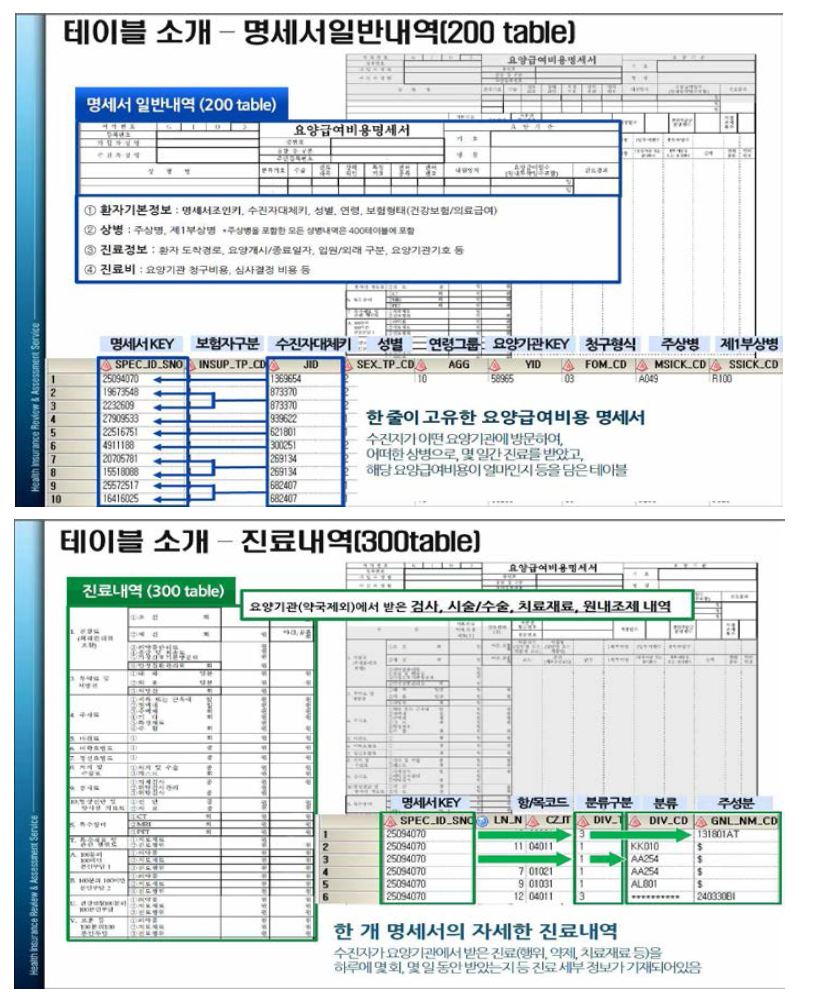 건강보험심사평가원 환자표본자료 명세서일반내역/진료내역 테이블 소개