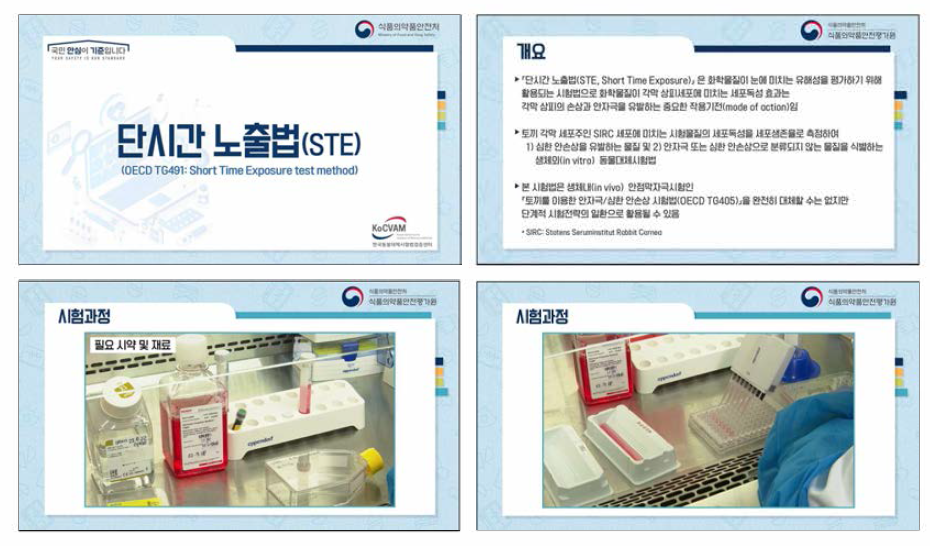 「단시간 노 출 법」 시험법 동영상