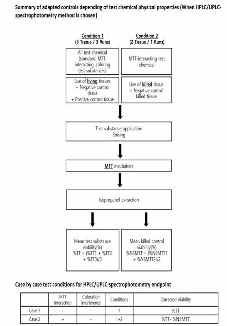 시험물질이 MTT 반응성을 가지는 경우 기능평가 및 세포생존율의 보정 (flowchart)