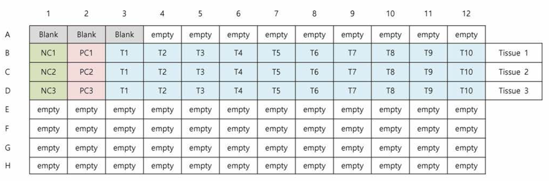 96 well plate 배치도