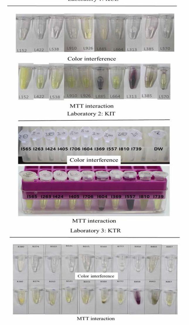 숙련도 평가 물질 10종의 발색성 및 MTT 반응성 결과 * L152, 1565, R380 (Naphthalene acetic acid) L422, 1263, R274 (Isopropanol) L538, 1424, R553 (Methyl stearate) L910, 1405，R531 (Heptyl butyrate) L926, 1706，R531 (Hexyl salicylate)L885, 1604，R560 (Cyclamen aldehyde) L664, 1369，R777 (1 -Bromohexane) L313, 1557，R858 (Potassium hydroxide (5% aq.)) L385, 1810, R803 (1 -Methyl-3-phenyl-1 -piperazine) L570, 1739, R867 (Heptanal)