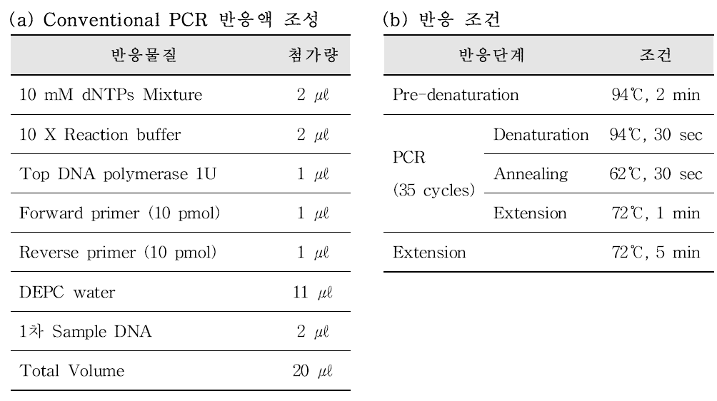 TBEV Conventional PCR 2차 반응액 조성(a) 및 반응 조건