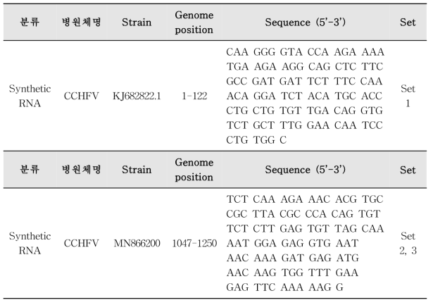CCHFV synthetic RNA 정보