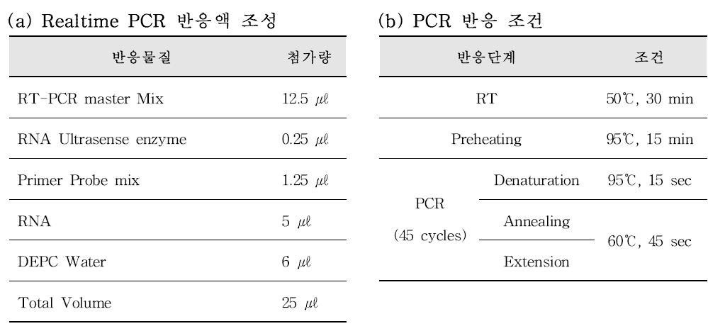 Murine norovirus Real time RT-PCR 반응액 조성(a) 및 반응 조건