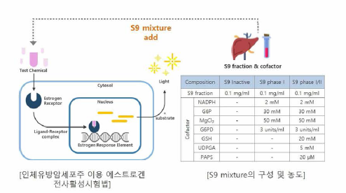 간 효소 주줄물(S9 fraction) 처리를 통한 metabolising system 적용 시험방법