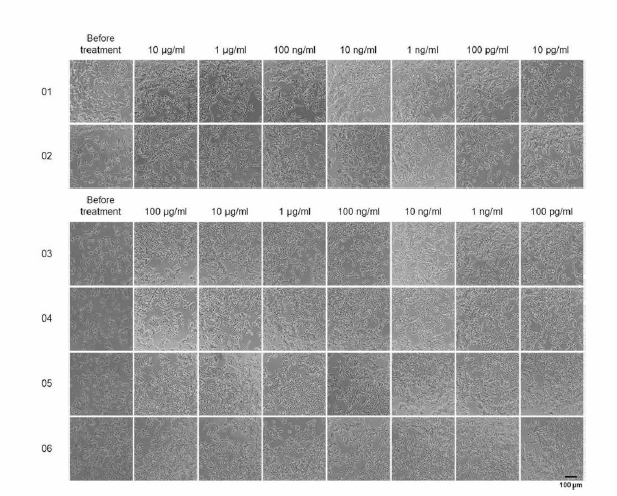 Agonist pre-screen run, 시험 물질을 처리한 세포 사진 1