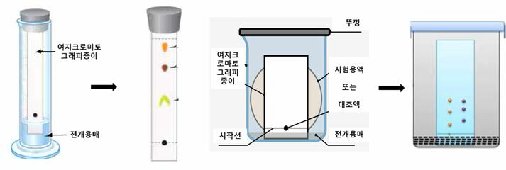 여지크로마토그래프에 의한 정성 긱존시험법 및 개선시험법의 초자변경