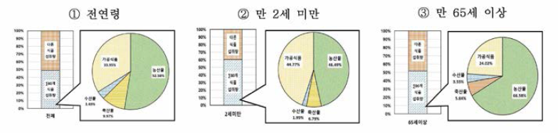 연령군별 상위 20위 품목의 일평균 식이량