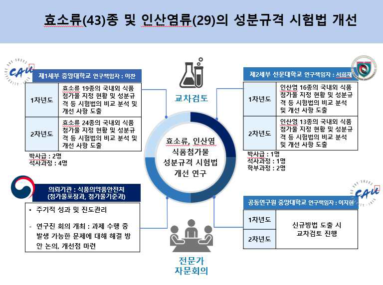 총괄연구개발과제의 추진체계