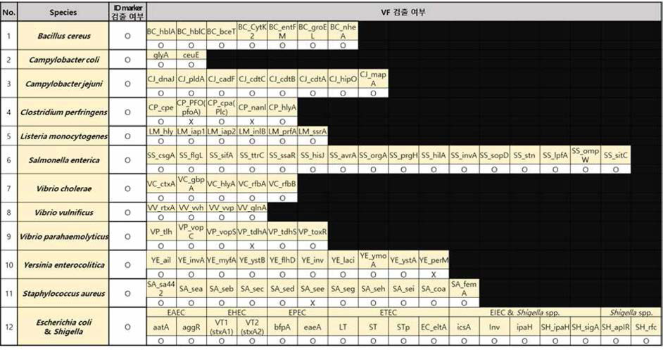 DNA level test를 통한 유전자 검출 확인