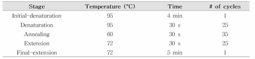 PCR 조건