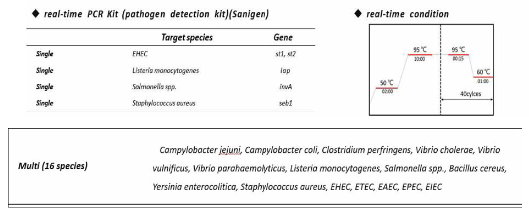 본 실험에 사용한 RT-PCR 키트 종류 및 실험 조건