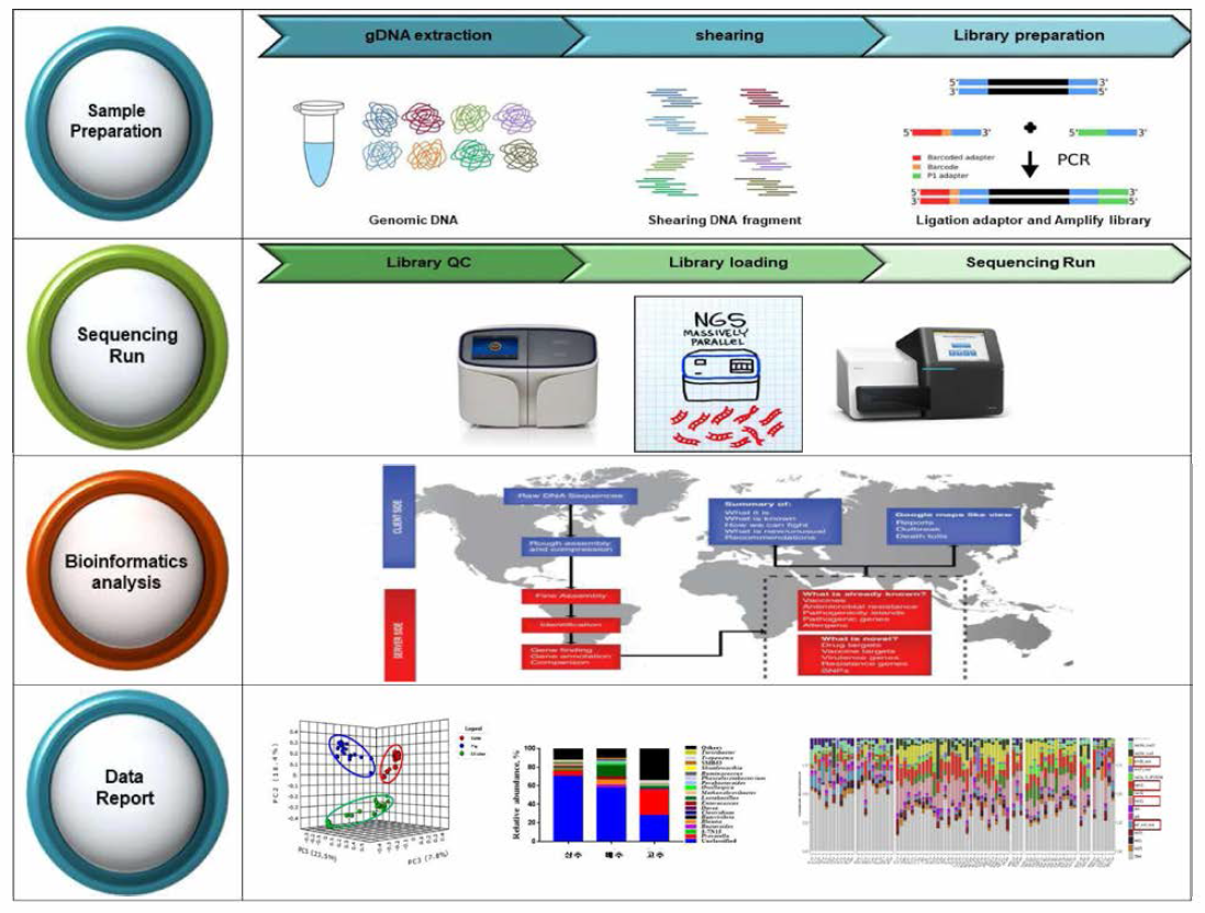 Metagenomic DNA를 활용한 amplicon sequencing process