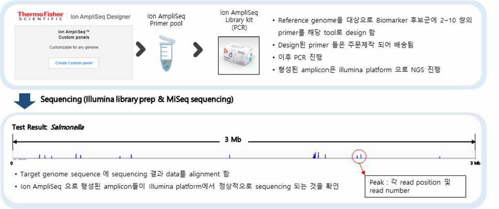 Ion AmpliSeq designer와 Illumina platform의 상호 호환성 검증 연구