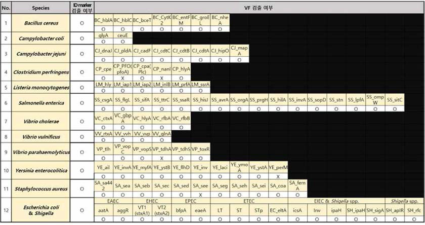 DNA level test를 통한 유전자 검줄 확인