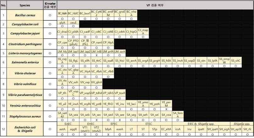 Cell level test를 통한 유전자 검줄 확인