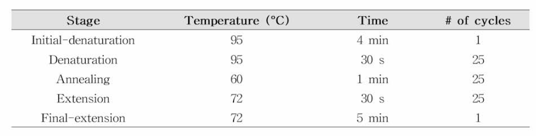 PCR 조건