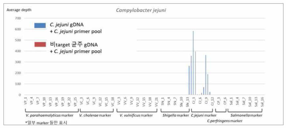 C. jejuni panel sequencing 결과