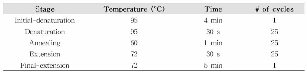 PCR 조건