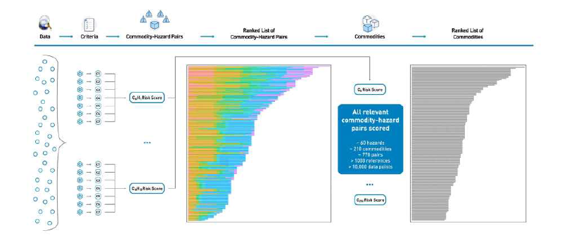 RRM-FT Scoring and Ranking Process