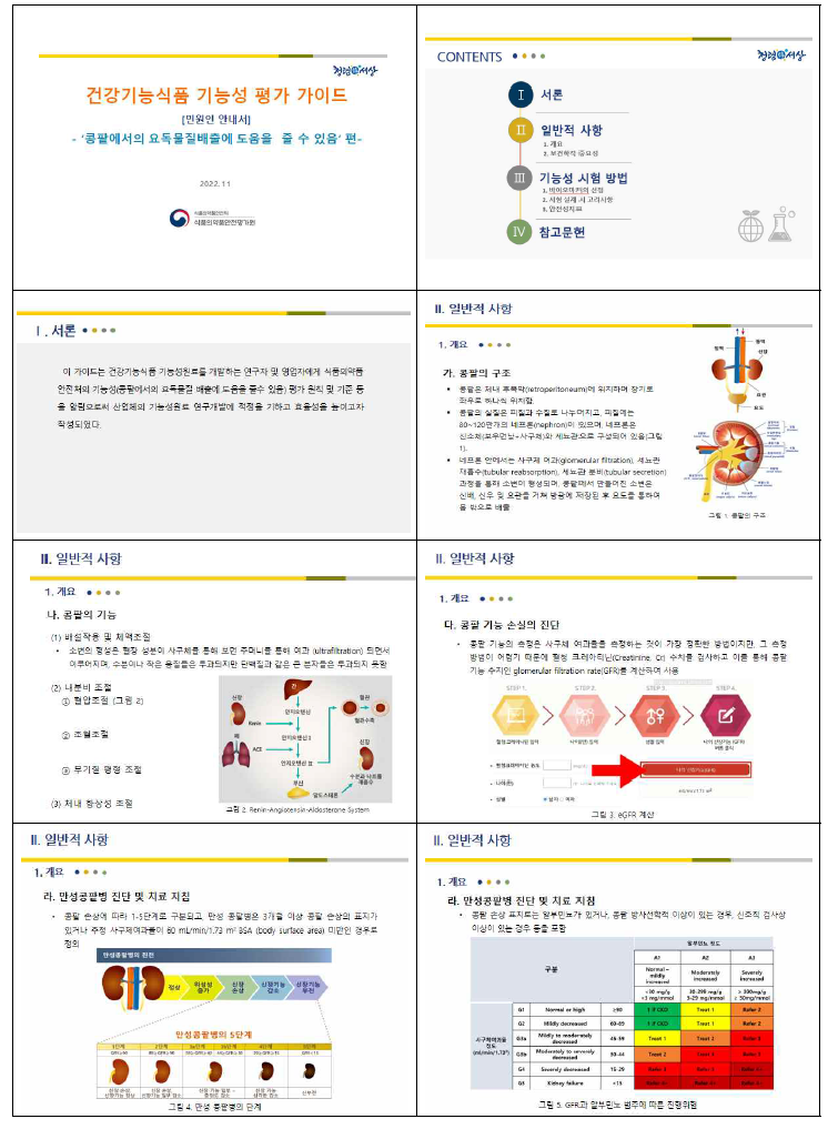 ‘요독물질 감소에 도움’ 평가 가이드(안) PPT(일부)