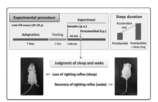 수면유도 동물모델의 예 출처: 식품과학과 산업 2013, 46(2):8-22.