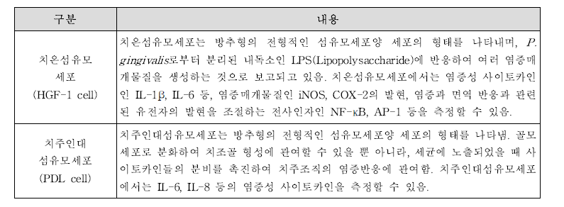 잇몸 건강에서 시험물질 효능 평가에 사용되는 세포의 특징