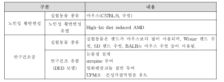 눈 건강 동물모델